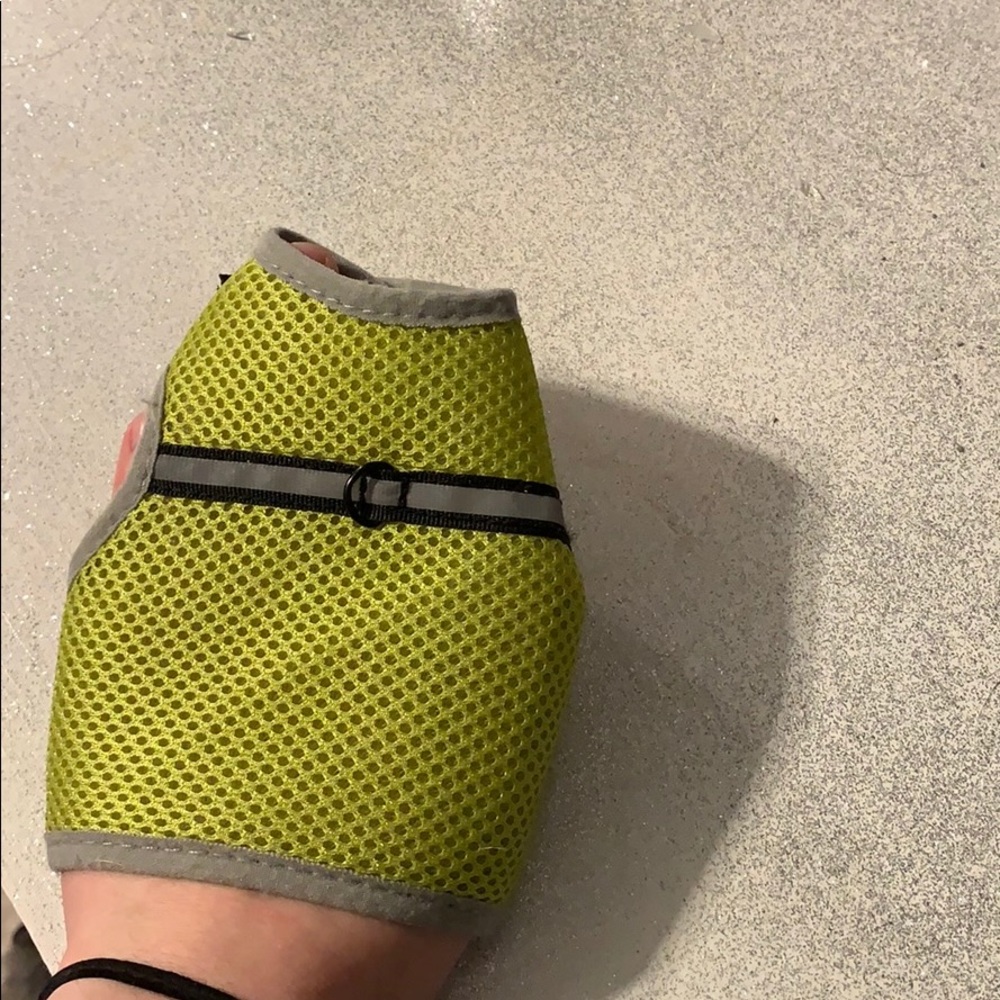 Small rodent harness